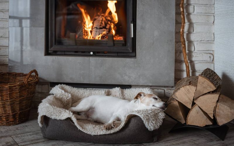 A Jack Russell Terrier dog sleeps on a rug next to a blazing fireplace. Hygge concept