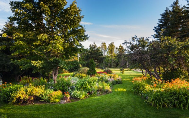 Beautiful Front Yark Garden and Grass