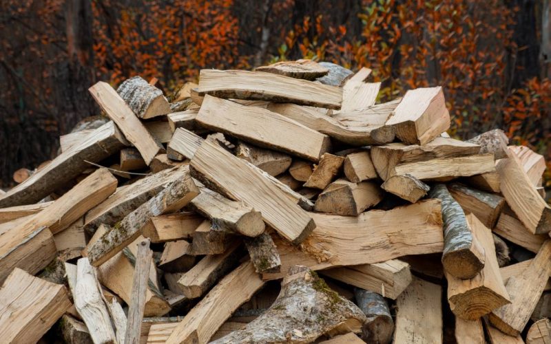 Chopped firewood for heating lies in a pile among the trees in late autumn. Selective focus.