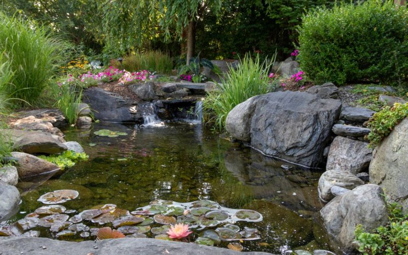 A flowing stream in a beautiful park with flowers