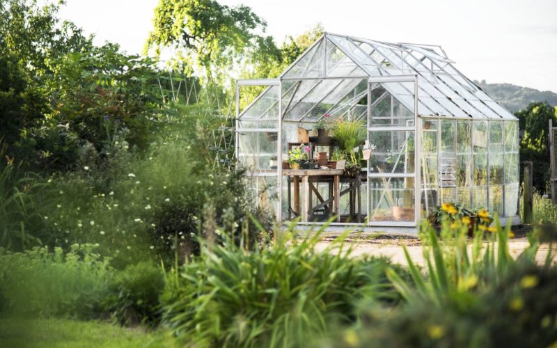 Glass greenhouse