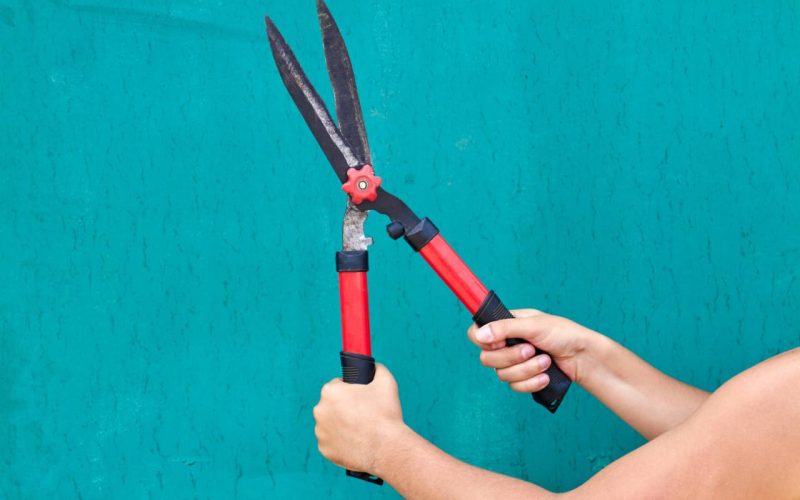 Hands holding garden shears isolated on turquoise backgroud. Young gardener concept.