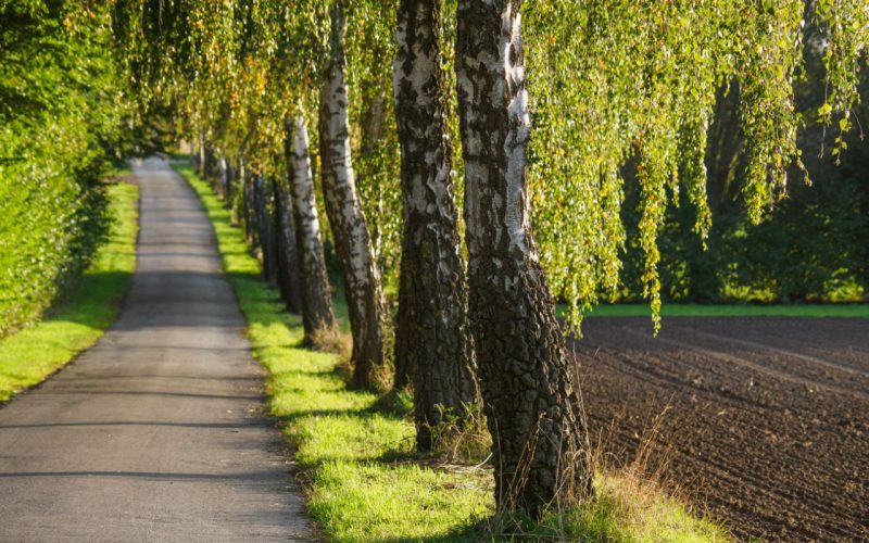 A stunning scenic landscape of Westphalia, Germany, located in Borken